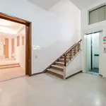 Penzion Raffinata Stanza 5 Con Bagno Privato Zona Stazione Padova